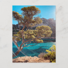 Postal Vista de la Riviera Francesa en Marsella Francia P