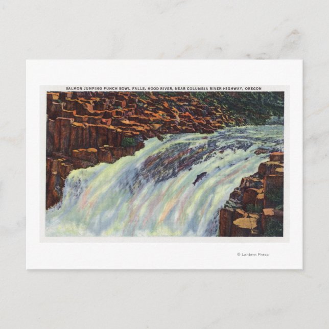 Postal Vista de las cataratas del Jumping Salmon (Anverso)