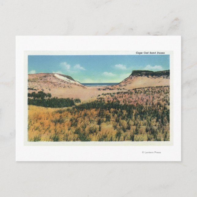 Postal Vista de las dunas de arena de Cape Cod 2 (Anverso)
