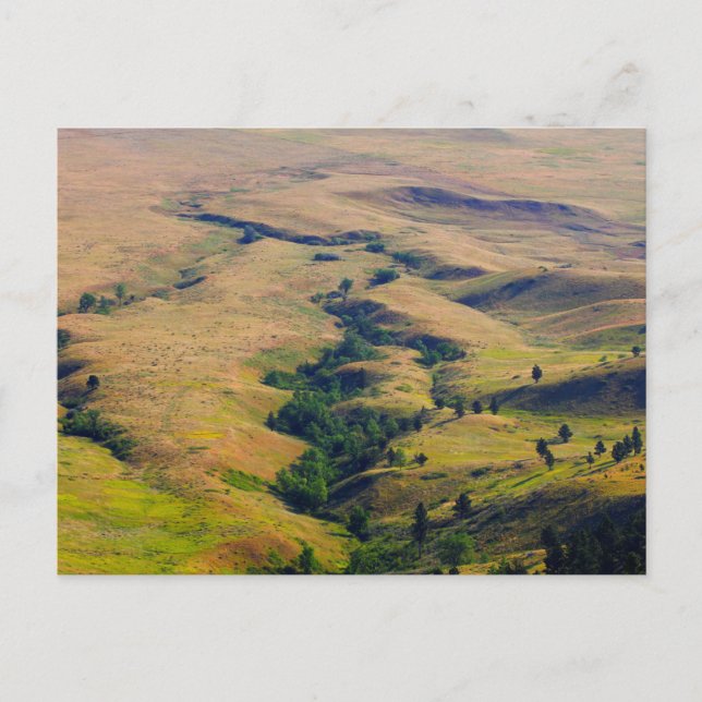 Postal Vista de llanuras alrededor de Bear Butte, SD (Anverso)