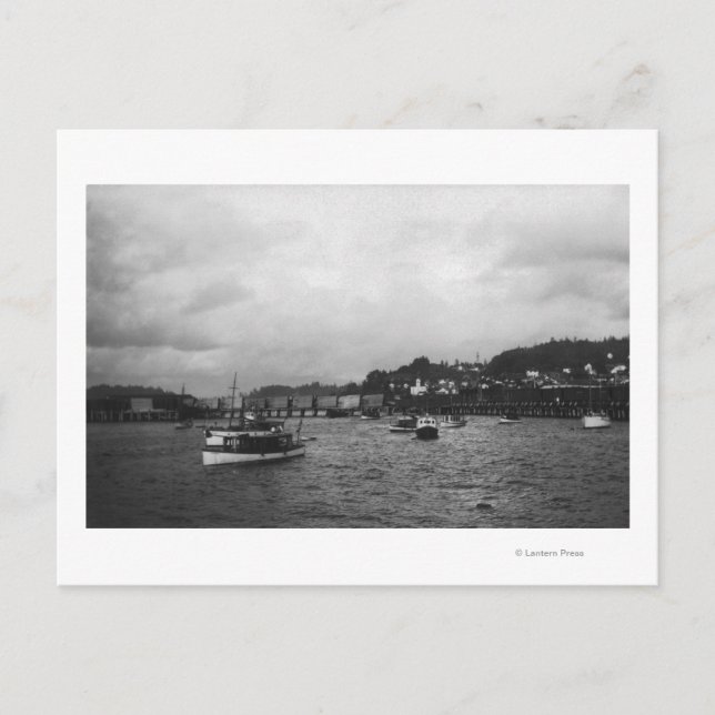 Postal Vista de los buques en la XV Regata Anual (Anverso)