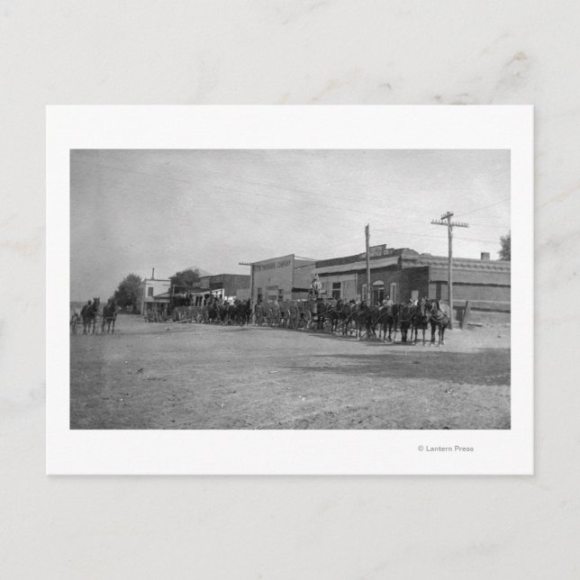 Postal Vista de los equipos de vagones de caballos en la  (Anverso)