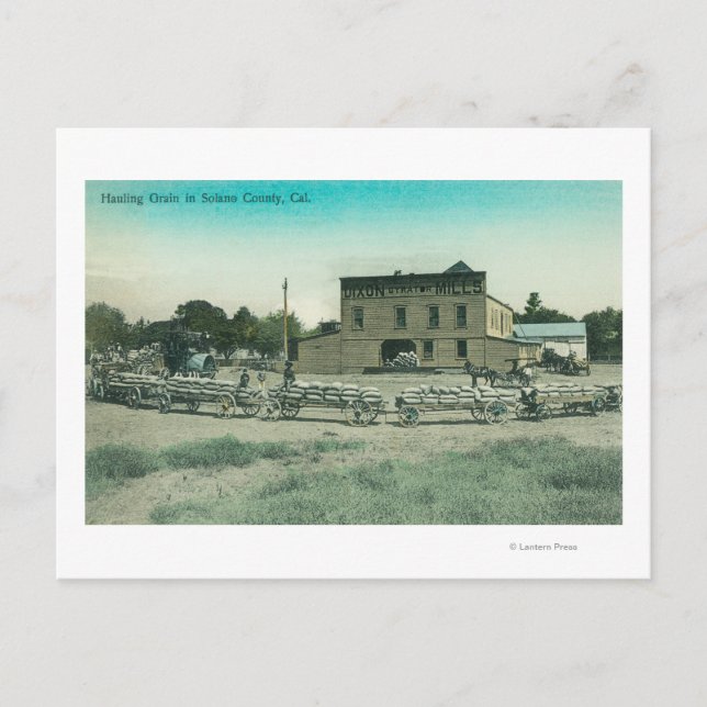 Postal Vista de Millers Hauling Grain to Mill (Anverso)