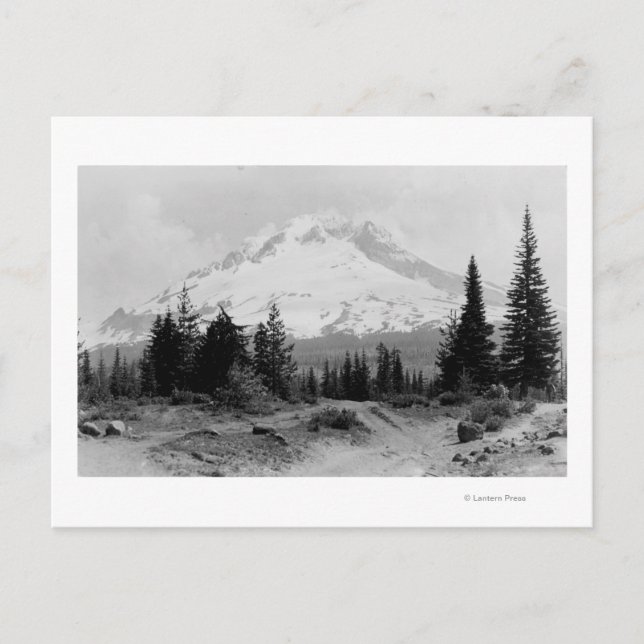 Postal Vista de Mt. Hood de la foto del campamento del go (Anverso)