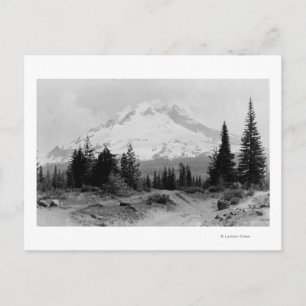 Postal Vista de Mt. Hood de la foto del campamento del go