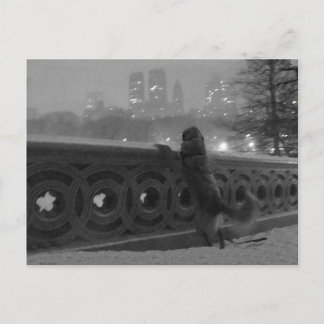 Postal Vista de nieve desde el puente Bow
