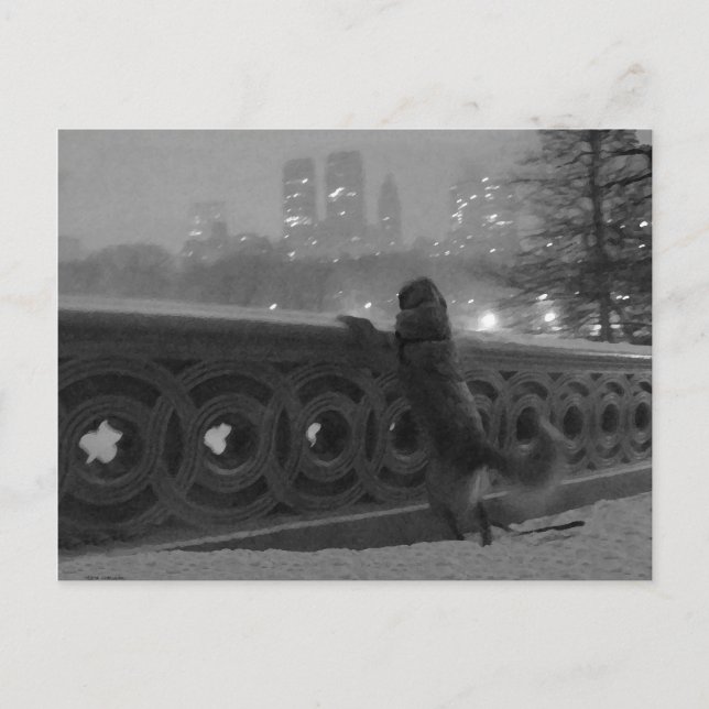 Postal Vista de nieve desde el puente Bow (Anverso)