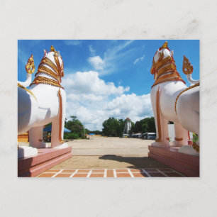 Postal Vista de ojos de león