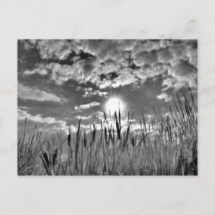 Postal Vista de ojos de pato