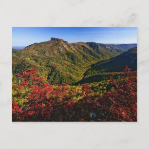 Postal Vista de otoño del desfiladero de Linville a menud