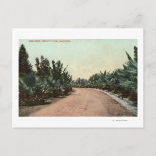 Postal Vista de Palm Drive