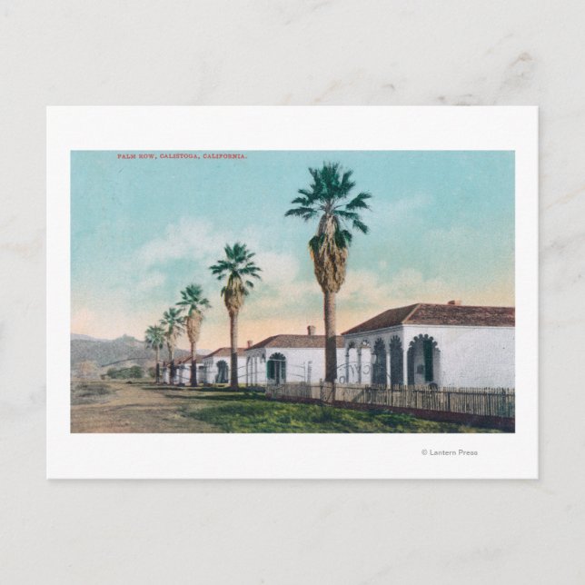 Postal Vista de Palm RowCalistoga, CA (Anverso)