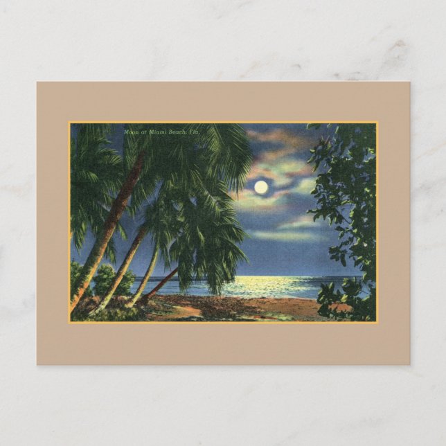 Postal Vista de playa virgen Moonlight Miami Beach (Anverso)