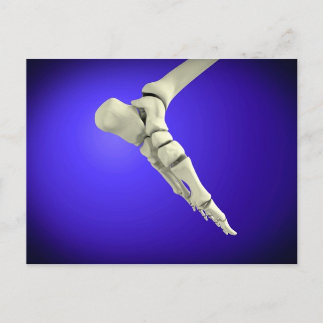 Postal Vista De Rayos X De Pie Humano 2 (Anverso)