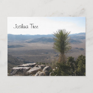 Postal Vista de Ryan Mountain- Joshua Tree