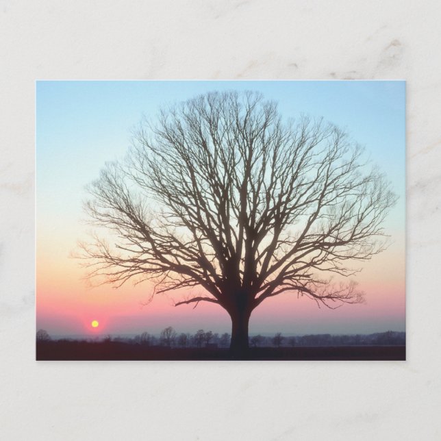 Postal Vista de Sunset (Anverso)