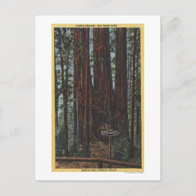 Postal Vista de "Tres Graces" en el Parque de los Grandes (Anverso)