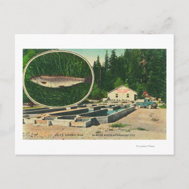 Postal Vista de Trout Haven HatcheryGasquet, CA (Anverso)