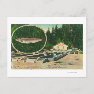 Postal Vista de Trout Haven HatcheryGasquet, CA