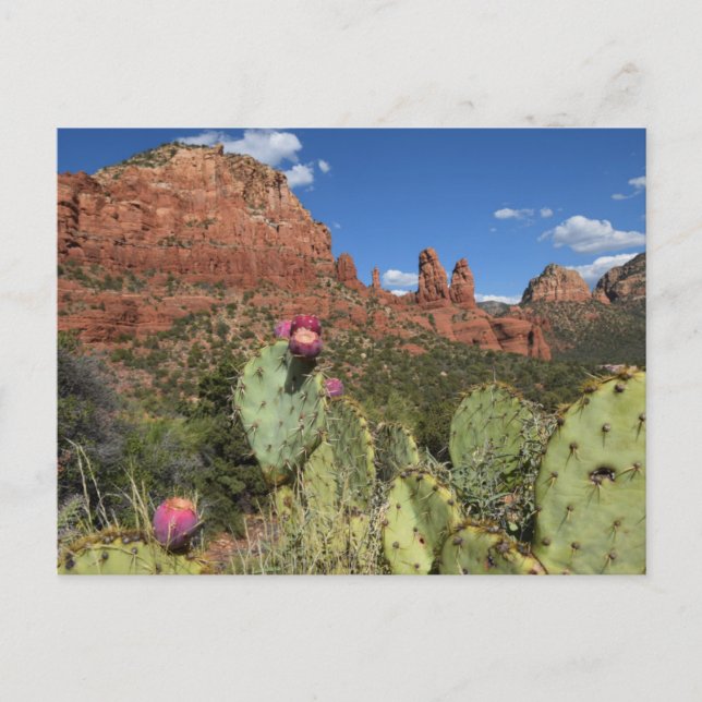 Postal Vista de Twin Buttes | Sedona, Arizona (Anverso)