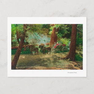 Postal Vista de un entrenador de escenario entre los gran