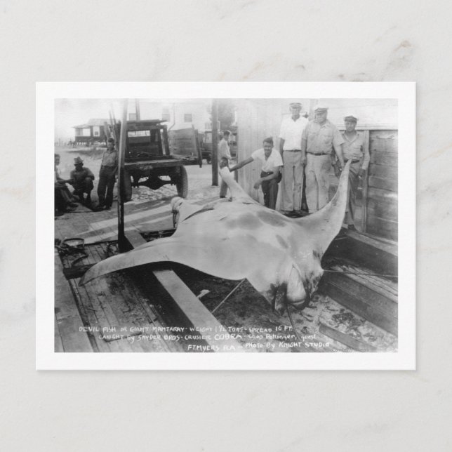 Postal Vista de un Manray de azotes (Anverso)