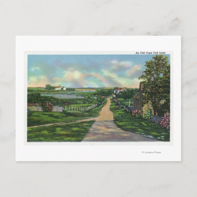 Postal Vista de una vieja calle de Cape Cod (Anverso)