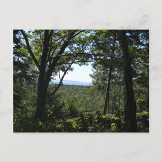 Postal Vista de verano en el Parque Nacional Acadia