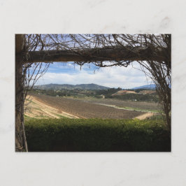 Postal Vista de viñedos