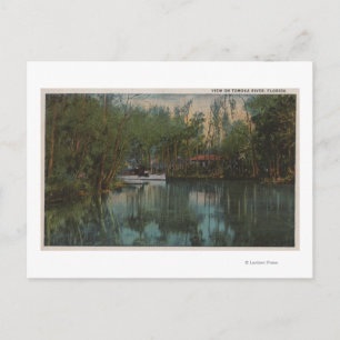 Postal Vista del agua del río Tomoka y el pantano, Florid