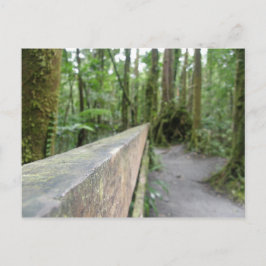 POSTAL VISTA DEL BOSQUE LLUVIOSO DE DOMINICA