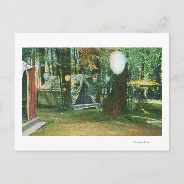 Postal Vista del campamento de Escocia, secuoyas, río rus (Anverso)