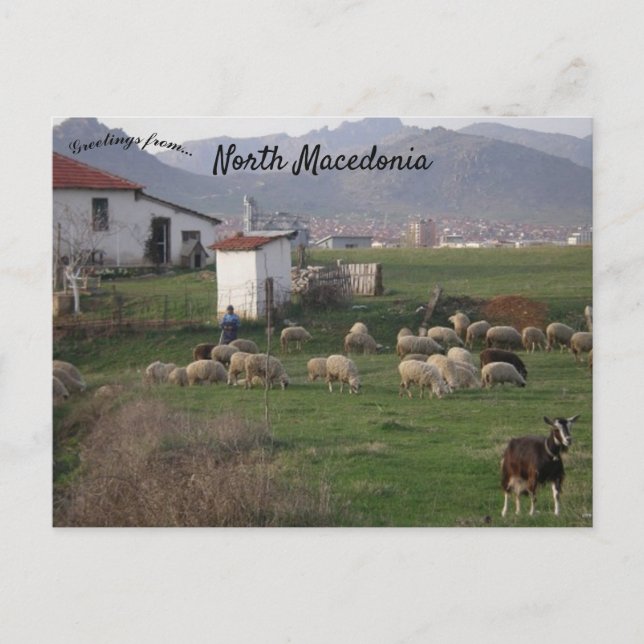 Postal Vista del campo en el norte de Macedonia (Anverso)