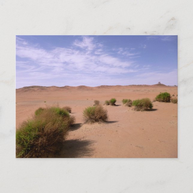 Postal Vista del desierto de Gobi (Anverso)