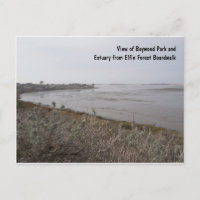 Vista del estuario desde el bosque de Elfin, Los O