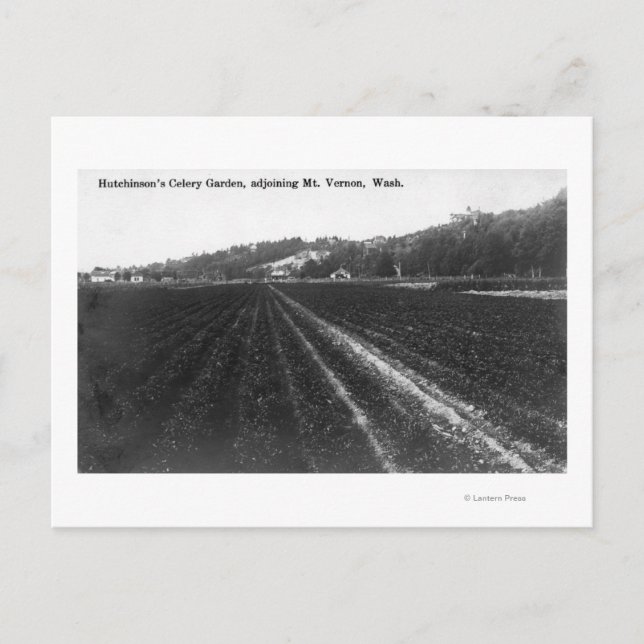 Postal Vista del Jardín de Celery de Hutchinson (Anverso)