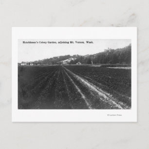 Postal Vista del Jardín de Celery de Hutchinson