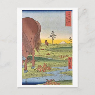 Postal Vista Del Monte Fuji 33