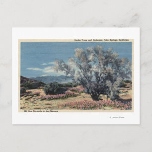 Postal Vista del monte San Gorgonio, árboles de humo