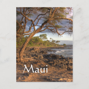 Postal Vista del océano de Maui