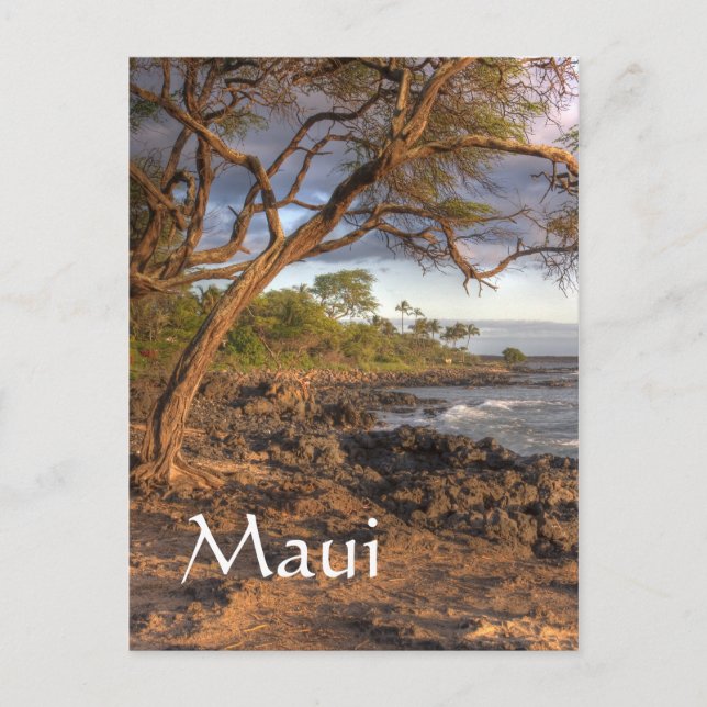 Postal Vista del océano de Maui (Anverso)