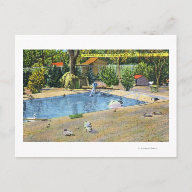 Postal Vista del Parque Beardsley de las aves acuáticas (Anverso)