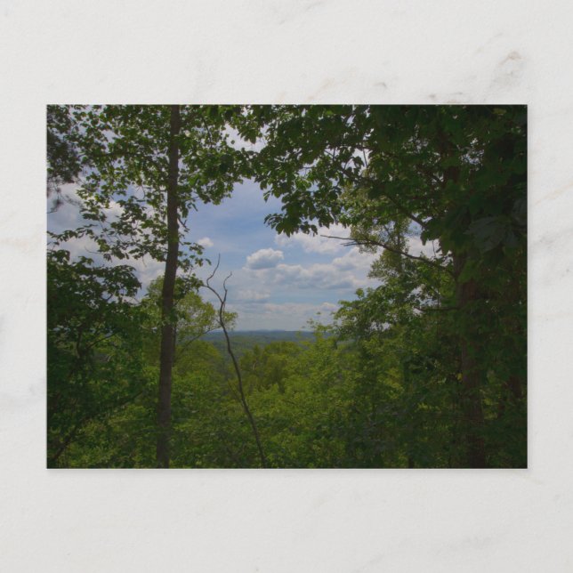 Postal Vista del puente de tierras secas, Kentucky (Anverso)