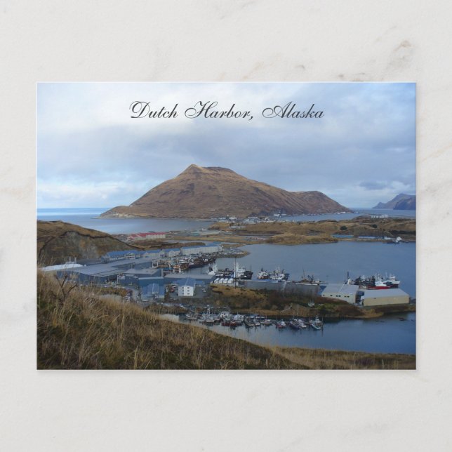 Postal Vista del puerto holandés, Alaska (Anverso)