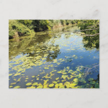 Vista del río Lake Erie Metropark