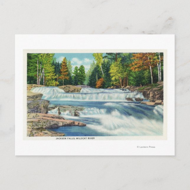 Postal Vista del río Wild Cat y las cataratas Jackson (Anverso)