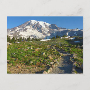 Postal Vista del sendero Skyline del Monte Rainier