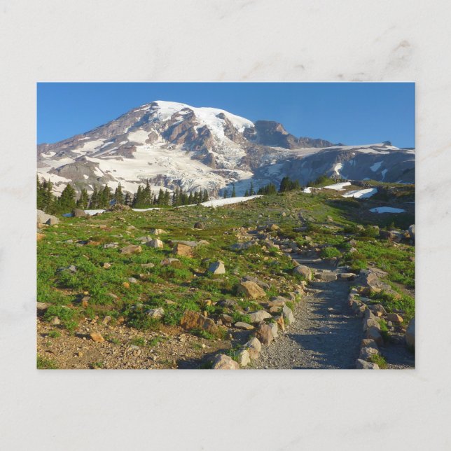 Postal Vista del sendero Skyline del Monte Rainier (Anverso)