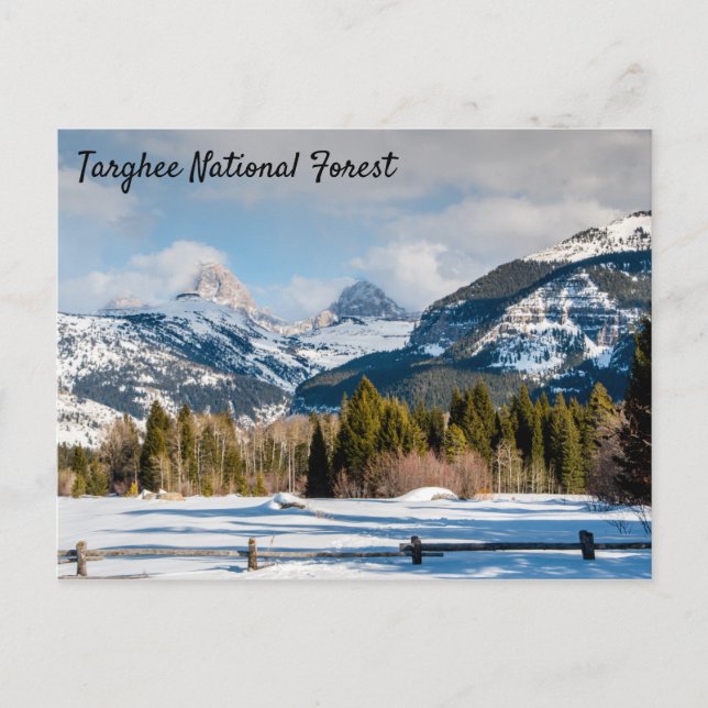 Postal Vista del tetón forestal nacional de Targhee (Anverso)