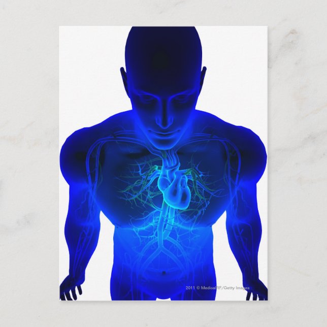 Postal Vista desde arriba de la disposición de los vasos (Anverso)